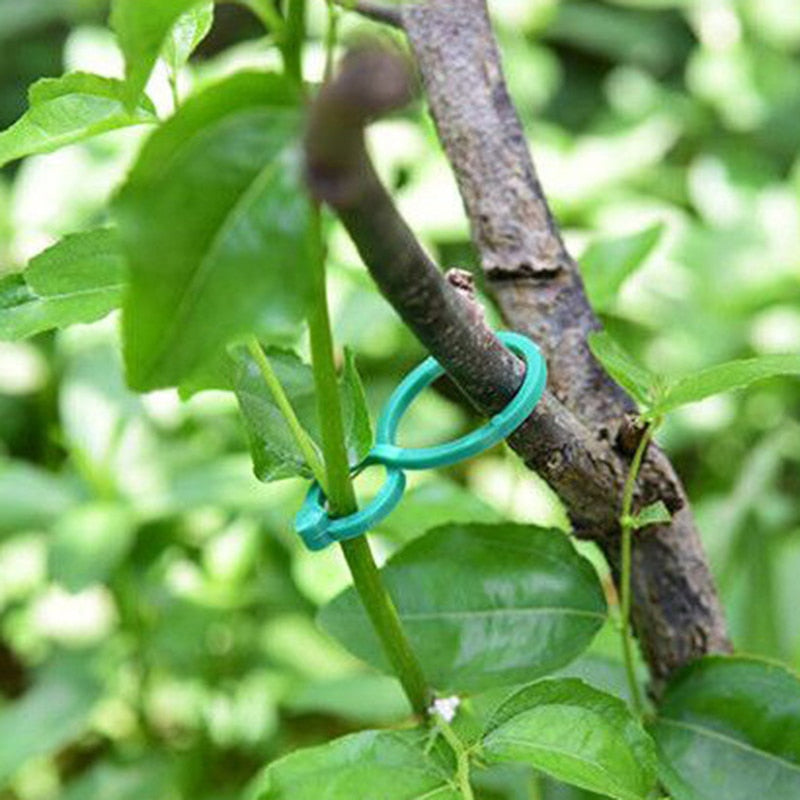 (Promoção) 100 Clipes Suporte Para Plantas, Trepadeiras, Jardins - Frete Grátis